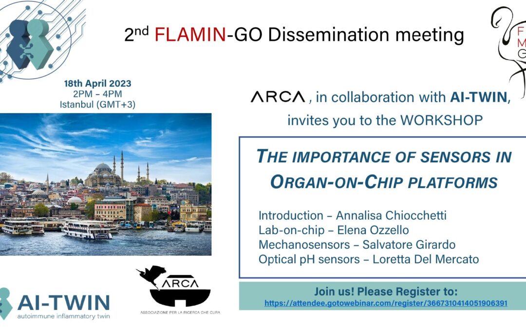 2nd FLAMIN-GO Dissemination meeting